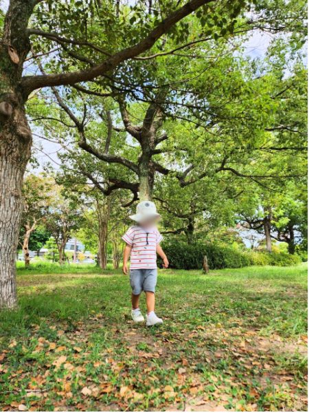 大阪城公園大手門地区の広い芝生