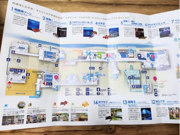 新江ノ島水族館のフロアマップ