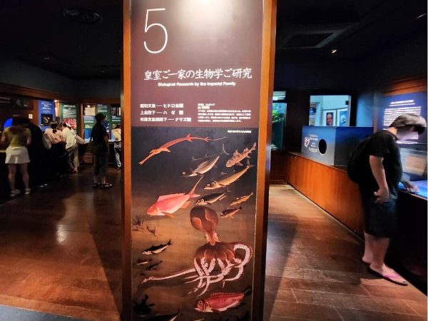 新江ノ島水族館・皇室ご一家の生物学ご研究の展示