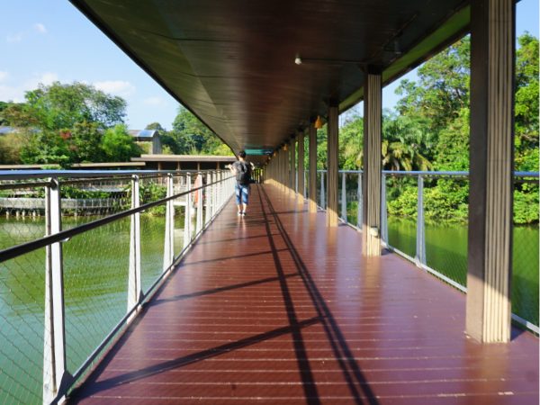 リバーワンダーの長い桟橋｜シンガポール4大動物園