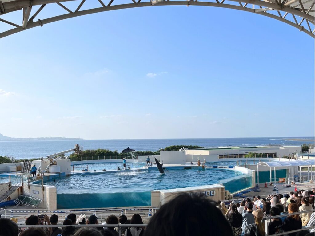 沖縄美ら海水族館