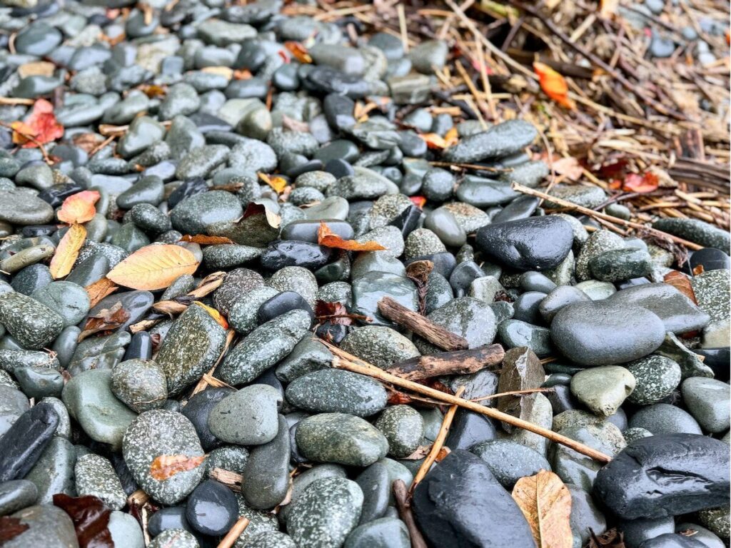 大船渡温泉潮音浜の石