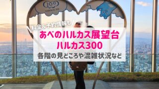 ハルカス300の所要時間と混雑状況！待ち時間は？階数各階の見どころ